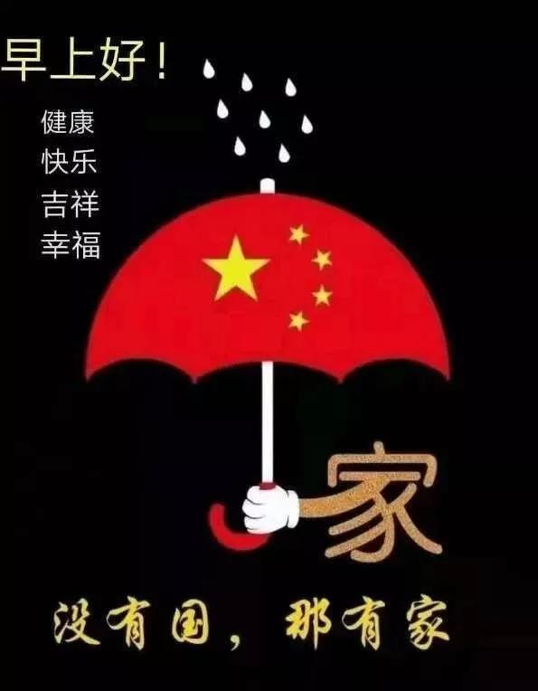 逃离金刚鹦鹉森林